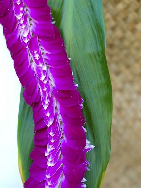 PURPLE ORCHID FEATHER LEI