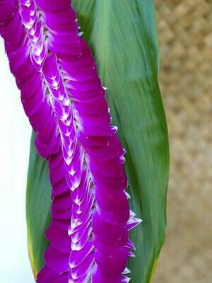 PURPLE ORCHID FEATHER LEI