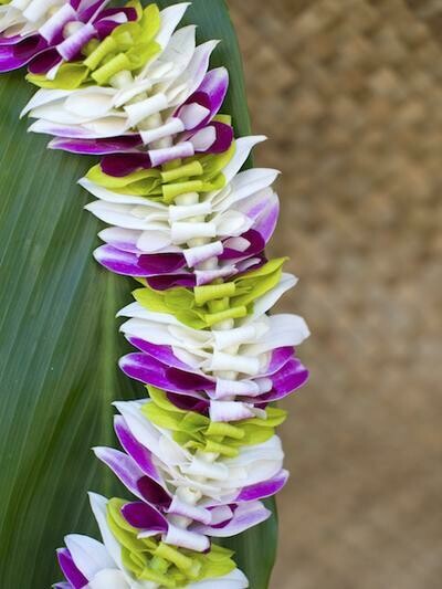 MIXED COLOR ORCHID ALANA LEI - WHITE + GREEN + PURPLE