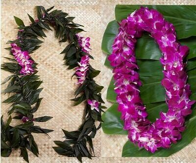 GRADUATION LEI 2 PACK (MAILE STYLE) GRADUATION LEI 2 PACK (MAILE STYLE)