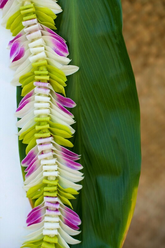 MIXED COLOR ORCHID BUTTERFLY LEI - WHITE + GREEN + PURPLE