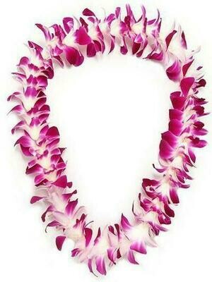 PURPLE ORCHID LEIS (BULK 10 PACK) PURPLE ORCHID LEIS (BULK 10 PACK)