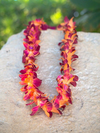 Fresh Hawaiian Orchid Flower Lei, Single Strand From Hawaii