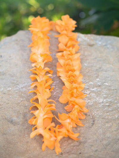Dyed Orange On White Orchid Lei Buy Hawaiian Lei