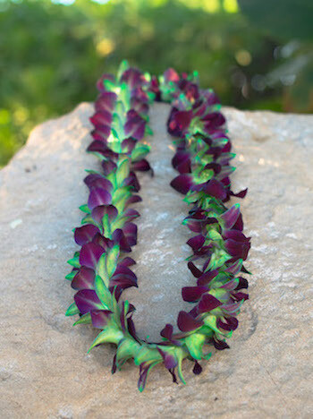 DYED GREEN ON PURPLE ORCHID LEI (SINGLE)