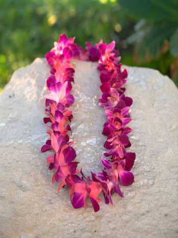 DYED PINK ON PURPLE ORCHID LEI (SINGLE)