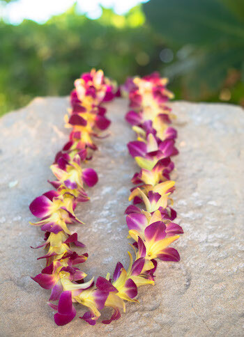 DYED YELLOW ON PURPLE ORCHID LEI (SINGLE)