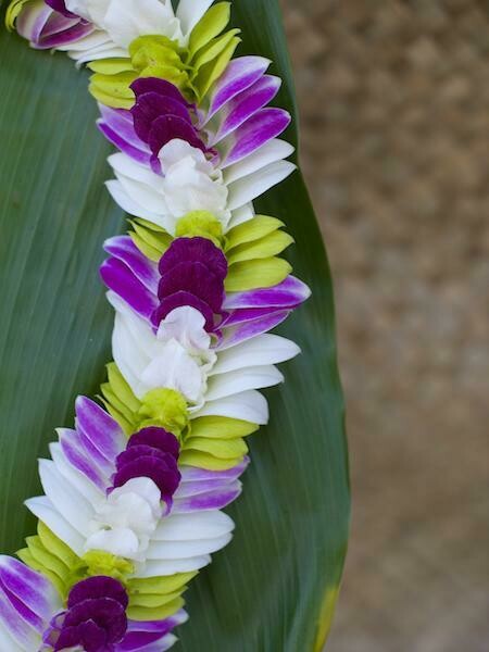 MIXED COLOR ORCHID INDIANA LEI - WHITE + PURPLE + GREEN