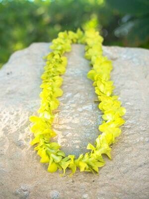 GREEN ORCHID LEI (SINGLE)