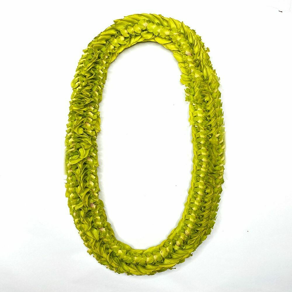 GREEN ORCHID PIKKI LEI