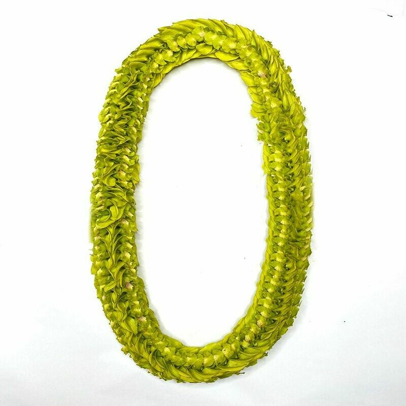 GREEN ORCHID PIKKI LEI
