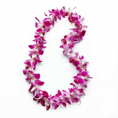 SINGLE ORCHID LEI