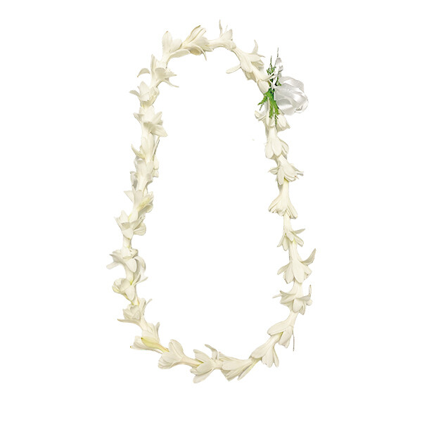 Tuberose Lei Beautiful Presentation Buy Hawaiian Lei
