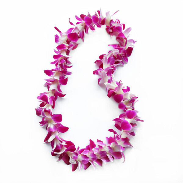 Purple Orchid Lei (Single) - Hawaiian Leis