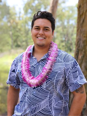 Hawaiian lei - Deluxe