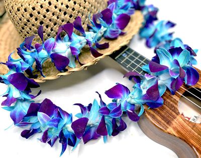 DYED ORCHID LEIS (SINGLE STRAND)