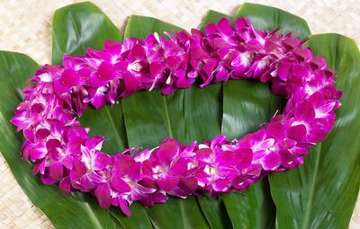 UNSCENTED LEIS