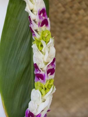 MIXED COLOR ORCHID PIKKI LEI - WHITE + GREEN + PURPLE