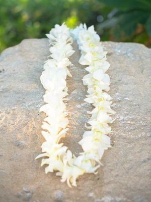 WHITE ORCHID SINGLE LEI BULK 10 PACK WITH FREE SHIPPING