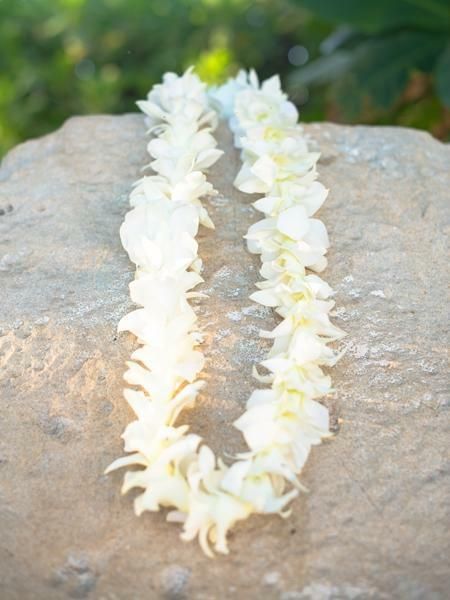 WHITE ORCHID SINGLE LEI BULK 10 PACK WITH FREE SHIPPING