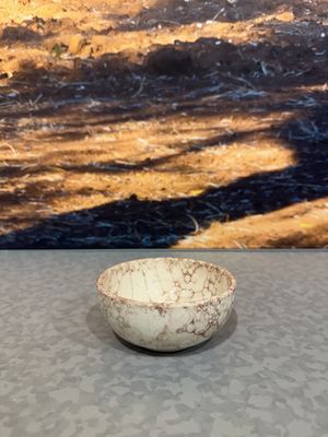 Espuma schaal 11cm terra