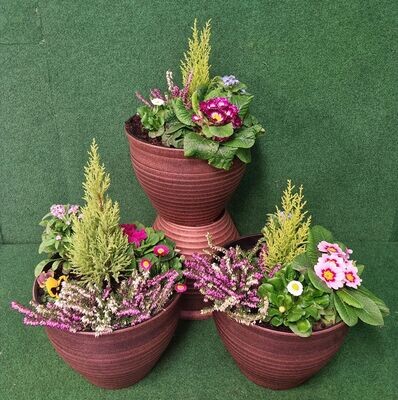 Bronze or Gold filled planter filled with a selection of seasonal plants.