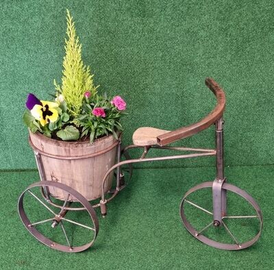 60 cm Large metal tricycle wooden planter filled with seasonal plants