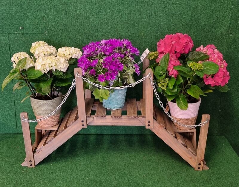 100cm Wooden Garden Bridge (Plants for illustration purposes only)