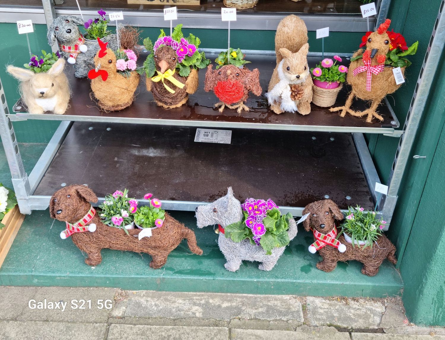 A Lovely Selection Of Animal Planters with Seasonal Plants.  Only Available In Store or by phone