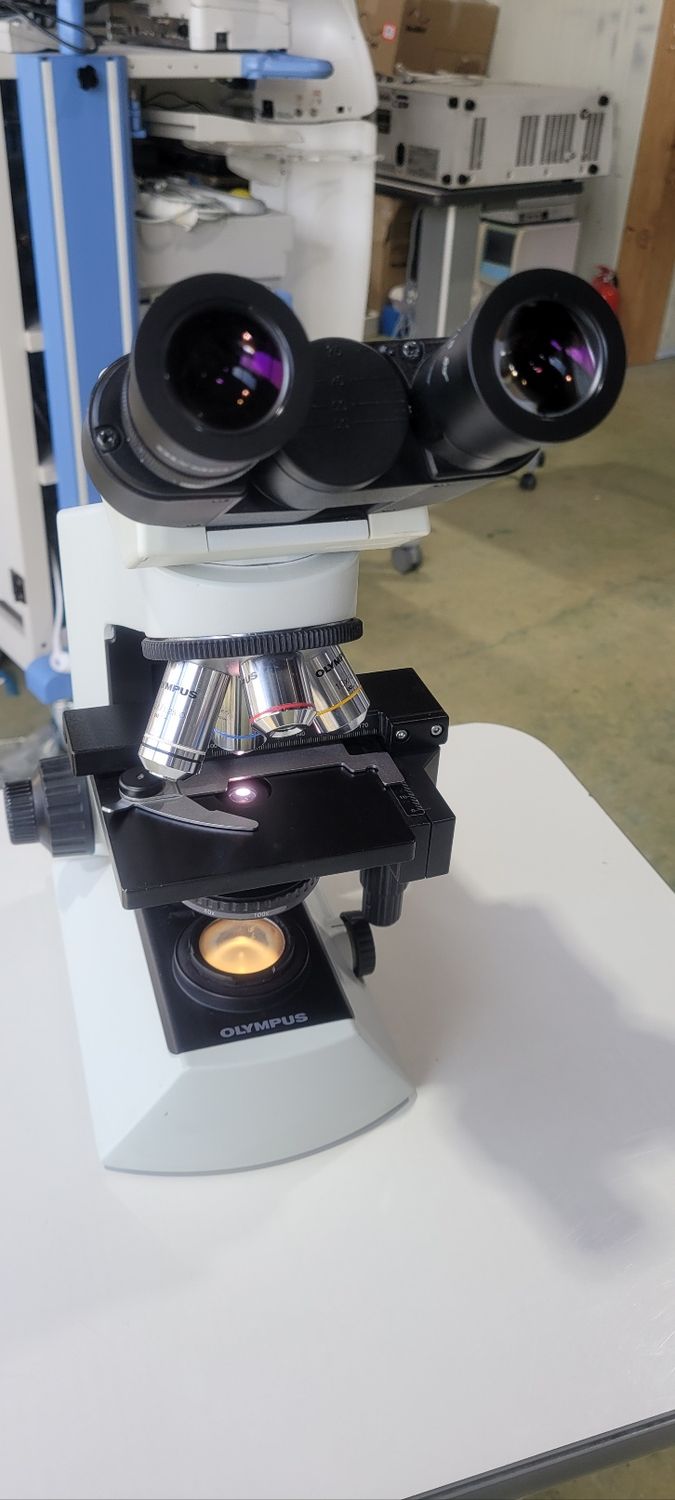 Sell Used Olympus CX21 Mircroscope For Medical Equipment