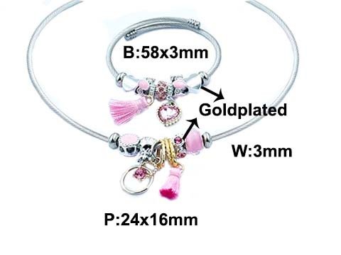 SS02679