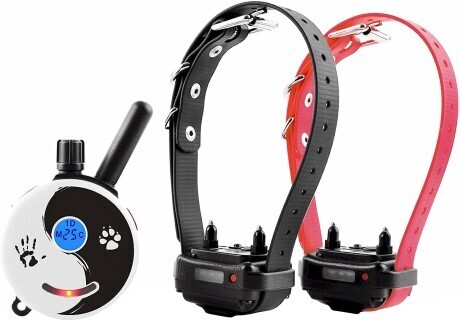 2 Dual Mini Educator Training Collar Receiver Set