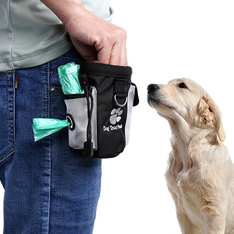 Treat Pouch