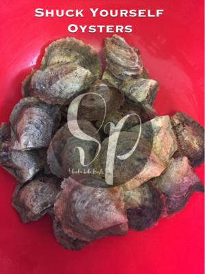Shuck Yourself Oysters - At Home