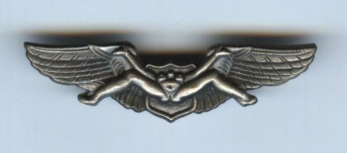 Air Force &quot;Bush&quot; Pilot Wings