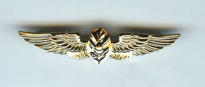 Naval Flight Surgeon