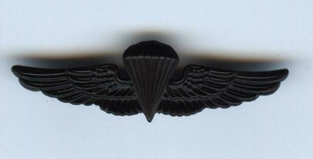 Naval/Marine Paratrooper Basic Wing (Subdued)