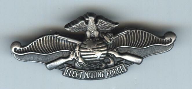 Fleet Marine Force Wing