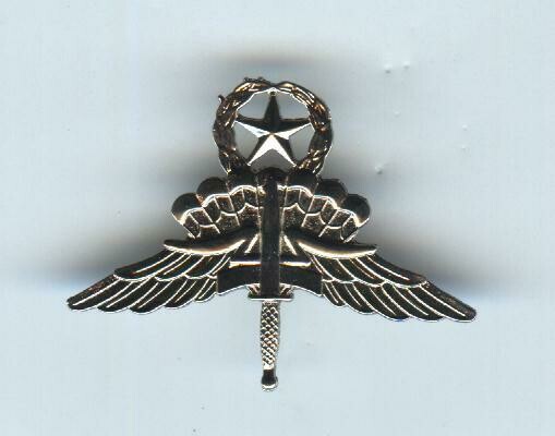 Master Military Freefall Parachutist Badge