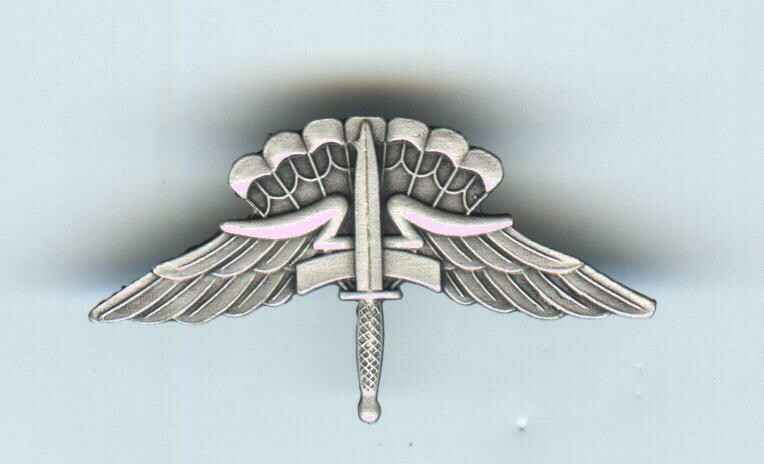 Basic Military Freefall Parachutist Badge