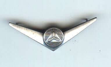 US Civil Air Patrol Solo Pilot Wing