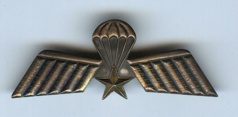 Netherlands Parachutist Wings