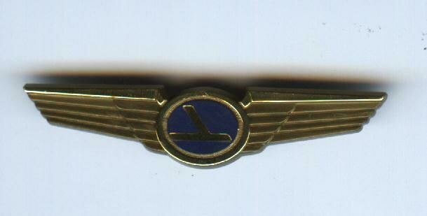 Eastern Junior Pilot Wings