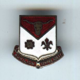 112th Medical Bde-Auxilium Semper Adest