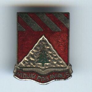 813th Engineer Bn-Nidem Proaribus
