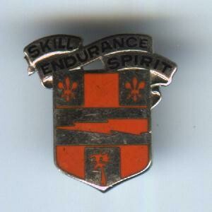34th Signal Bn.-Skill, Endurance, Spirit