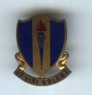 US Army Air Force Advanced Flying School-Kelly Field-Ut Viri Volent