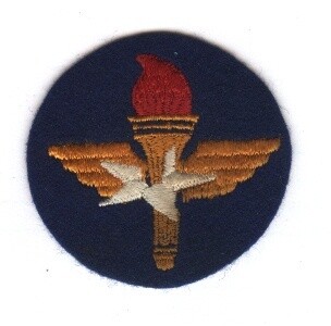 Air Training Command-Wool