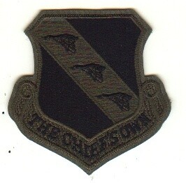 11th Wing (11 WG)-The Chiefs Own-CE