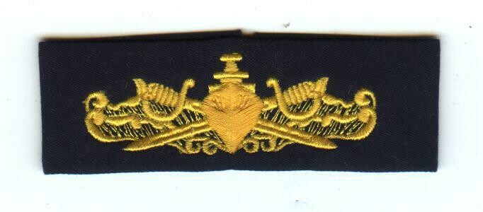 Navy Surface Warfare-Officer